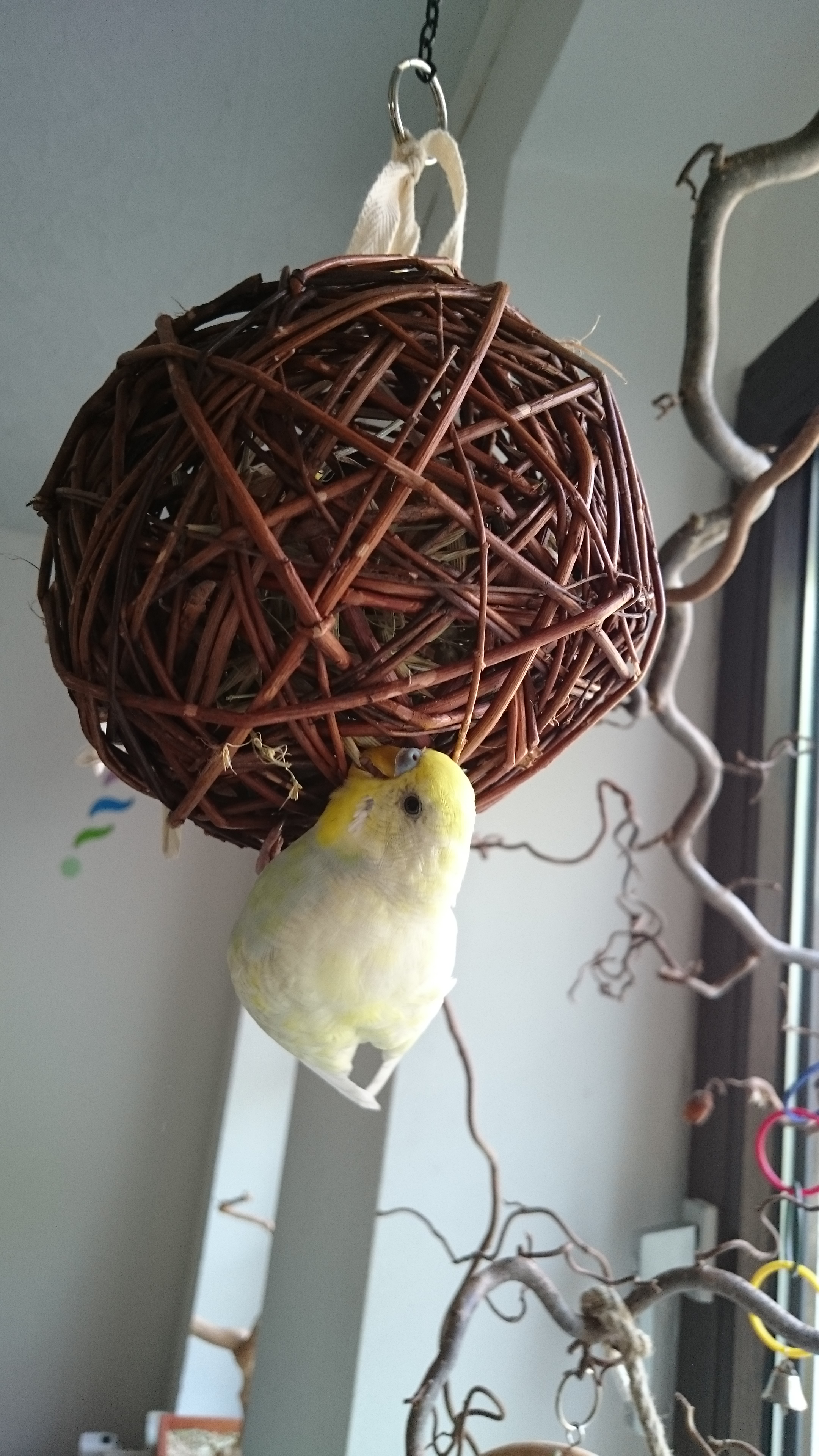 Sony Xperia Z3 - Fotoqualität-dsc_0787.jpg