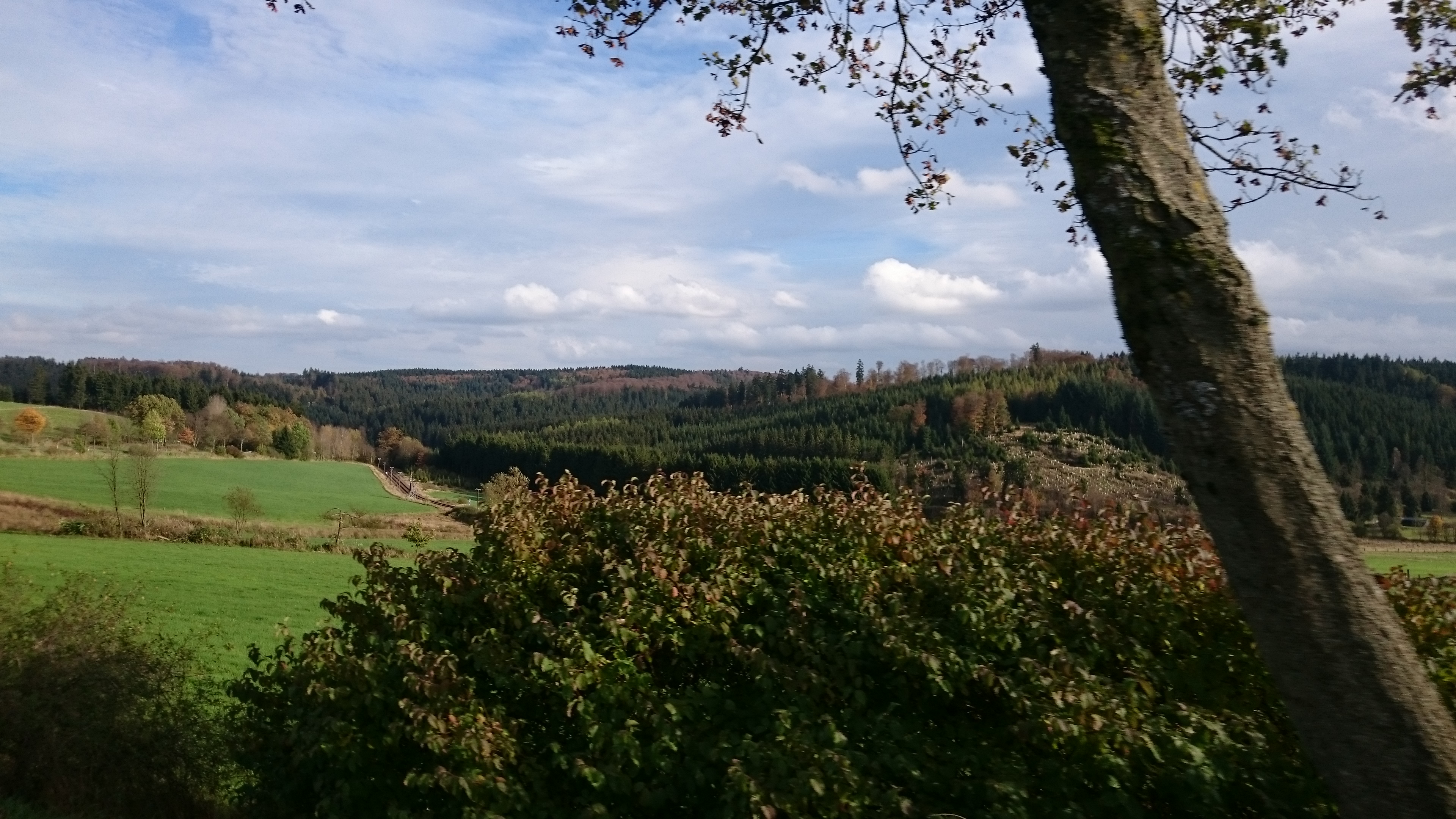 Sony Xperia Z3 - Fotoqualität-dsc_0809.jpg