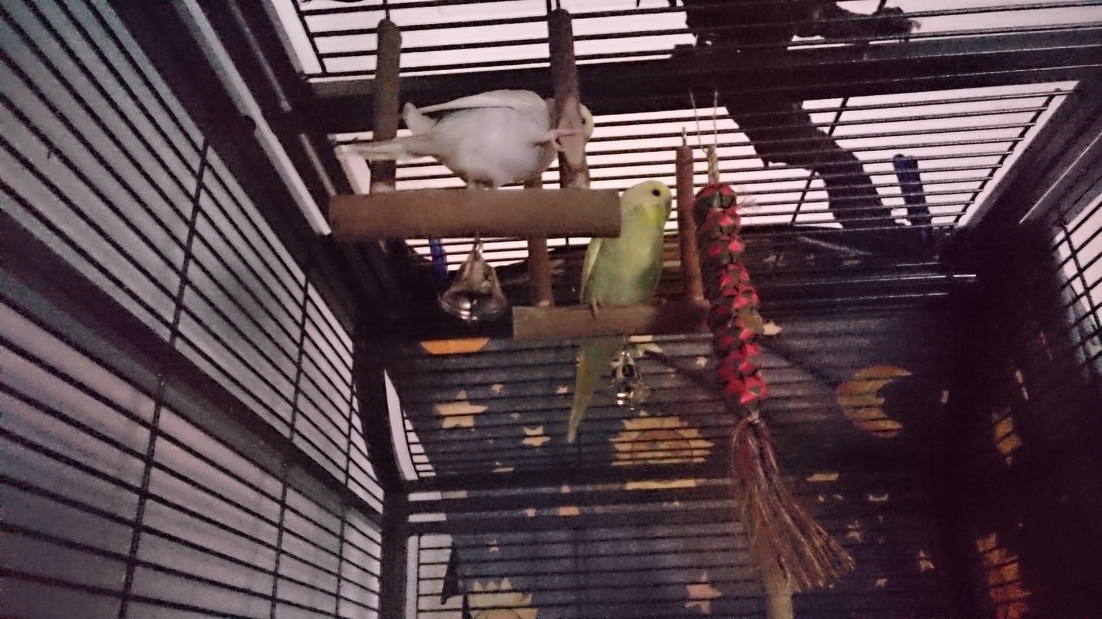 Sony Xperia Z3 - Fotoqualität-dsc_0950.jpg