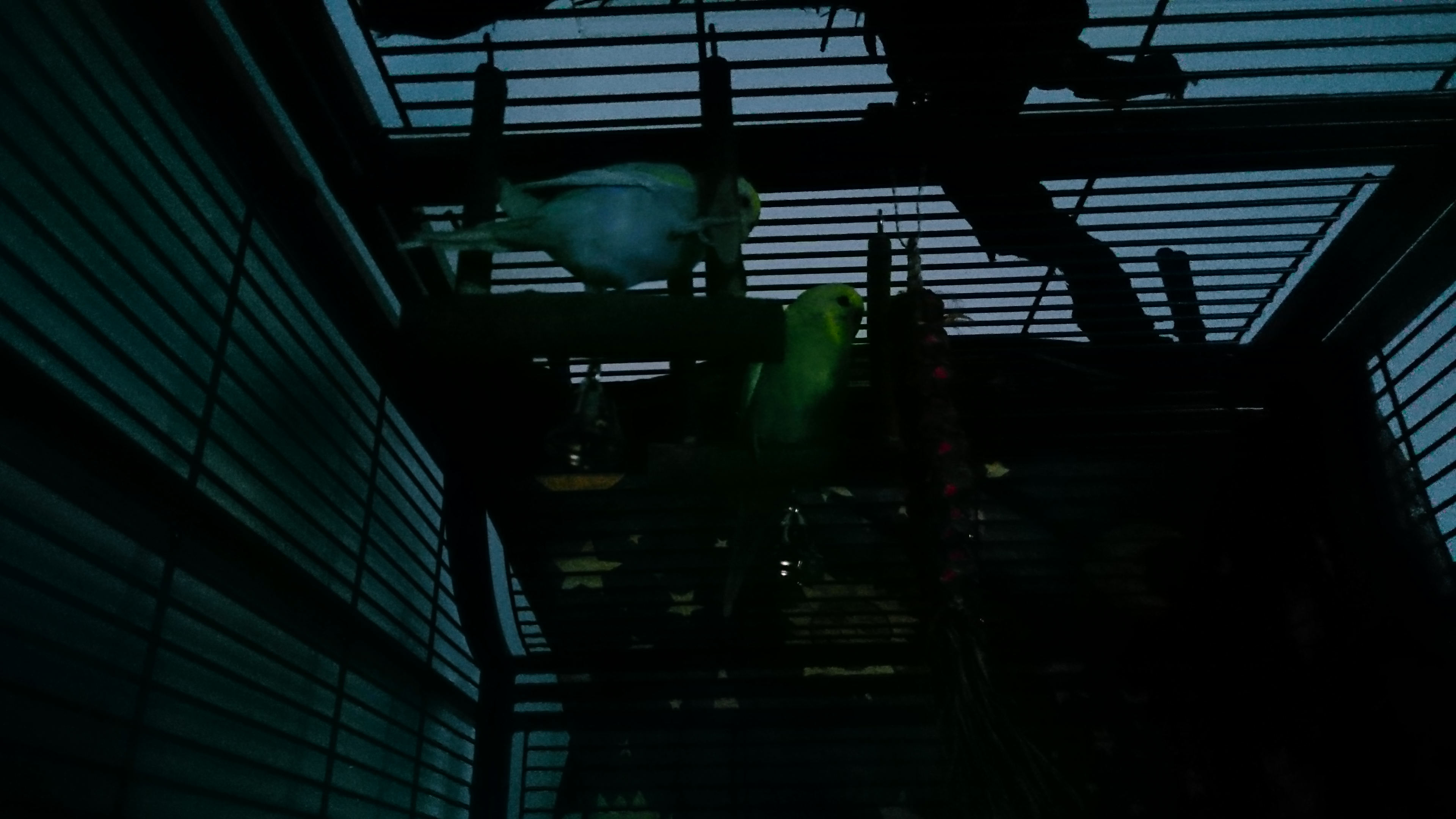 Sony Xperia Z3 - Fotoqualität-dsc_0951.jpg