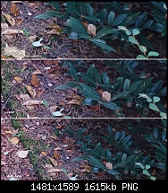 Sony Xperia Z3 - Fotoqualität-6kkh4k5o.png