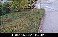 Sony Xperia Z3 - Fotoqualität-dsc_0013.jpg