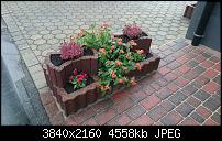 Sony Xperia Z3 - Fotoqualität-dsc_0014.jpg