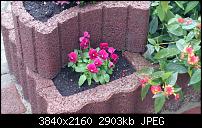 Sony Xperia Z3 - Fotoqualität-dsc_0015.jpg