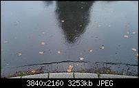 Sony Xperia Z3 - Fotoqualität-dsc_0022.jpg