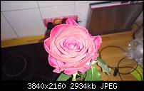 Sony Xperia Z3 - Fotoqualität-uploadfromtaptalk1415953458183.jpg