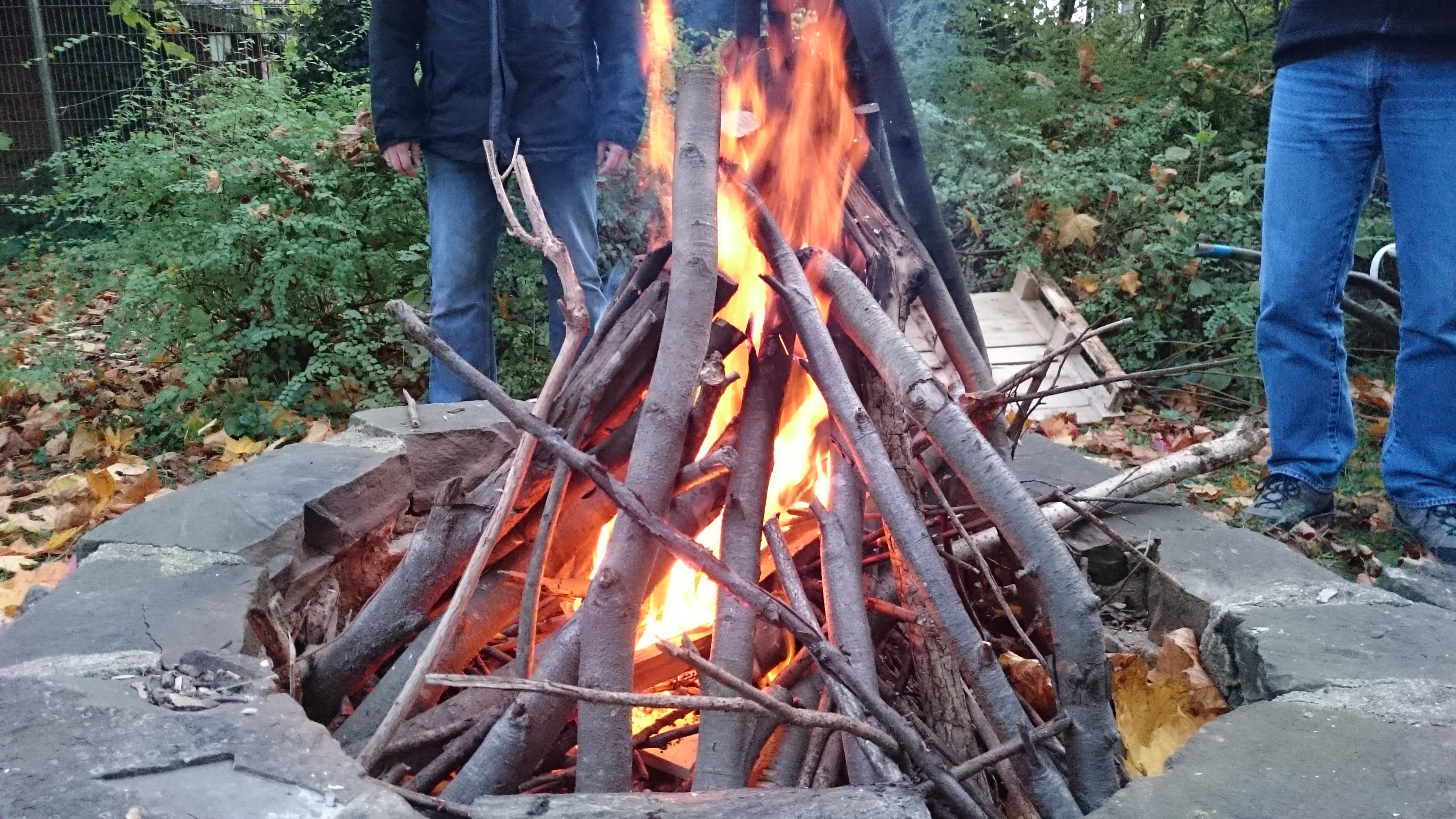 Sony Xperia Z3 - Fotoqualität-dsc_1035.jpg