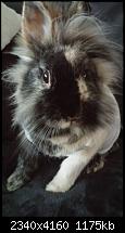 Sony Xperia Z3 - Fotoqualität-20141115_141249.jpg