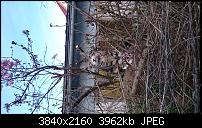 Sony Xperia Z3 - Fotoqualität-uploadfromtaptalk1428859861246.jpg