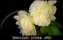 Sony Xperia Z3 - Fotoqualität-uploadfromtaptalk1439699498225.jpg