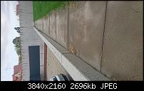 Sony Xperia Z5 Compact - Kamera Diskussionsthread-dsc_0001.jpg