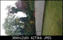 Sony Xperia Z5 Compact - Kamera Diskussionsthread-dsc_0003.jpg