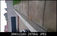 Sony Xperia Z5 Compact - Kamera Diskussionsthread-dsc_2537.jpg