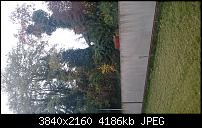 Sony Xperia Z5 Compact - Kamera Diskussionsthread-dsc_2539.jpg