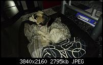 Sony Xperia Z5 Compact - Kamera Diskussionsthread-dsc_1240.jpg