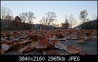 Sony Xperia Z5 Compact - Kamera Diskussionsthread-dsc_1285.jpg