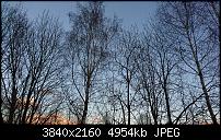 Sony Xperia Z5 Compact - Kamera Diskussionsthread-dsc_1319-2.jpg