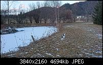 Sony Xperia Z5 Compact - Kamera Diskussionsthread-dsc_1323-1.jpg