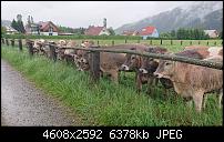 Sony Xperia ZX2 – Qualität der Fotos-dsc_1438.jpg