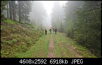 Sony Xperia ZX2 – Qualität der Fotos-dsc_1513.jpg