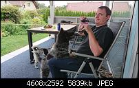 Sony Xperia ZX2 – Qualität der Fotos-dsc_1527.jpg