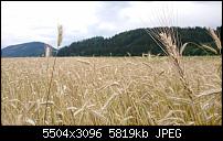 Sony Xperia ZX2 – Qualität der Fotos-dsc_1554.jpg