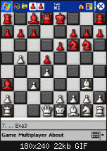 Schach-chess2.gif