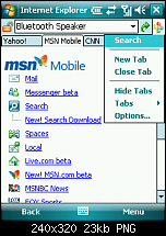 Spb Pocket Plus 4.0-401-internet-explorer-search.png