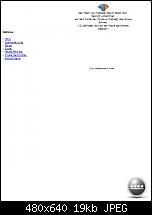 Genial schnellstes WM 6.5&gt;&gt;&gt;[ROM WM6.5][Build 21234][22/5] BsB 6.5G Black-mobile-view.jpg