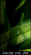 12 Button Action Screen-grass.jpg
