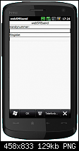 Web2SMS Programm für WindowsMobile-pc_capture15.png