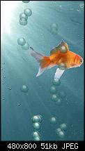 Aquarium und Auto-Neigung GSensor Proggies-screen01.jpg