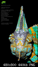 linux - chamaeleon interface-welcomehead.192.png