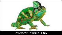 manila 2.5 202525 internet globe ändern-trans_chameleon.png