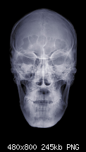 HDWall v. 0.27b-sklett.png