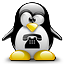 linux - chamaeleon interface-phonea.png