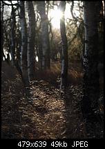 HTC Touch HD Wallpapers-wall1.jpg