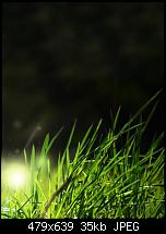 HTC Touch HD Wallpapers-4.jpg