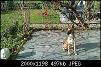 HTC Touch HD Review / Testbericht-imag0048.jpg