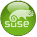 Systemdateien bearbeiten-suselogo-kopie.gif
