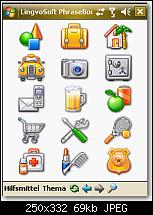 Lingvosoft 2008-bild1-1.jpg