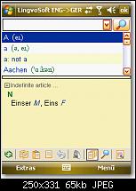 Lingvosoft 2008-bild-4.jpg
