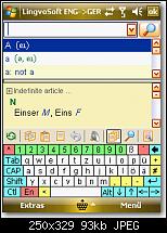 Lingvosoft 2008-bild-5.jpg
