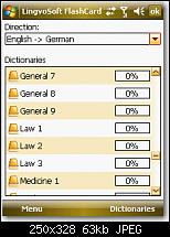 Lingvosoft 2008-bild-8.jpg