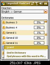 Lingvosoft 2008-bild-9.jpg