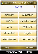 Lingvosoft 2008-bild-11.jpg