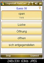 Lingvosoft 2008-bild-12.jpg