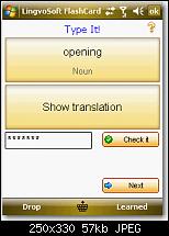 Lingvosoft 2008-bild-13.jpg