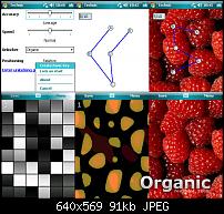 Organic Lock - Das Device einmal anders entsperren-organic-lock.jpg