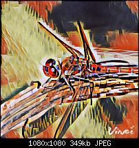 Vinci, gute Bildbearbeitungsapp-vinci_photo_20160817065131.jpg